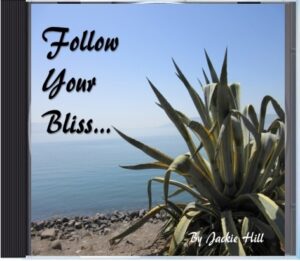 Follow Your Bliss - CD